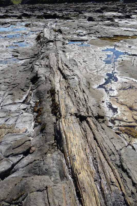 Nieuw-Zeeland 2011 - 1837